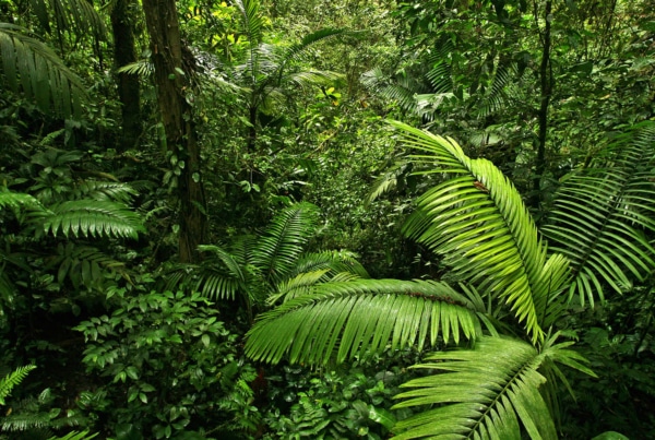 13ème Journée scientifique du tourisme durable et de la biodiversité
