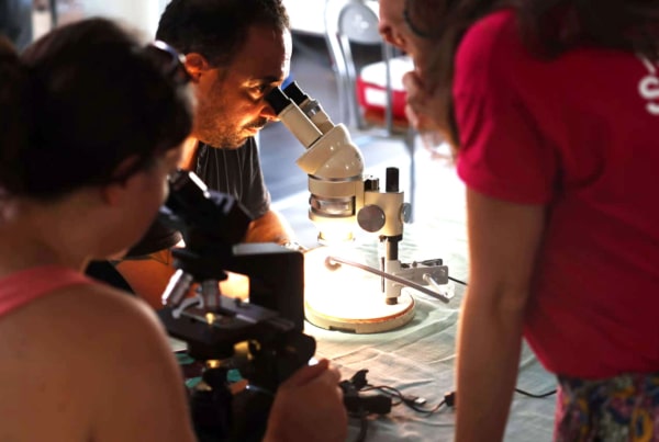 Participants observant des échantillons au microscope lors d’un atelier scientifique à l’Université de Guyane pendant la Fête de la Science 2025