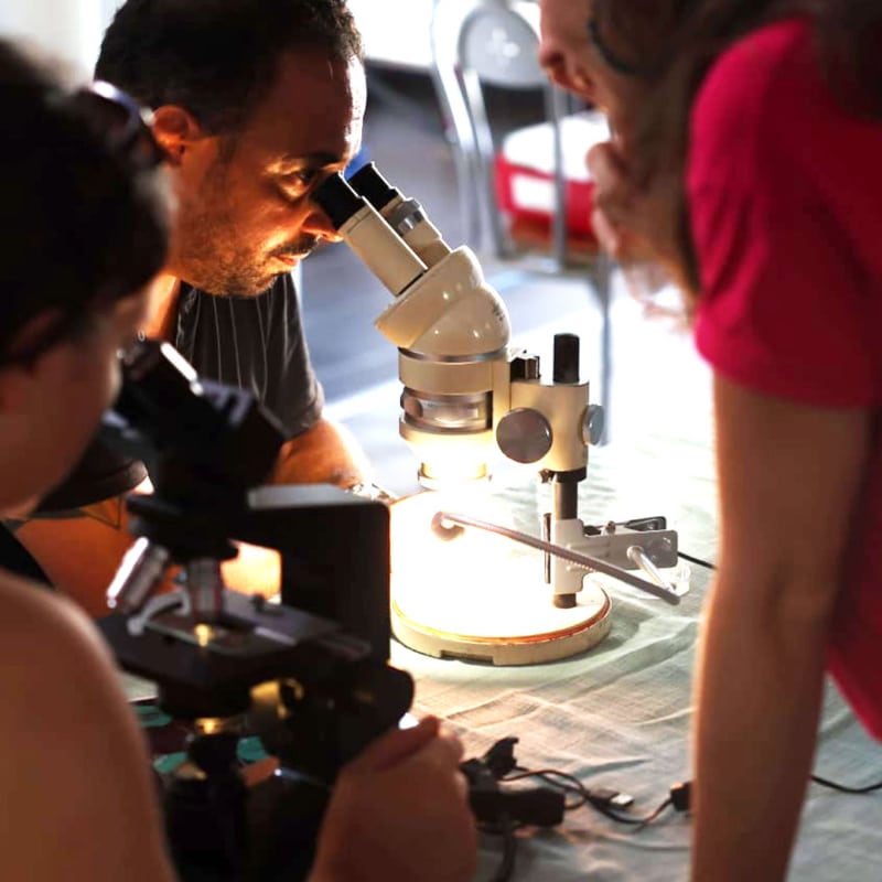Participants observant des échantillons au microscope lors d’un atelier scientifique à l’Université de Guyane pendant la Fête de la Science 2025
