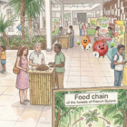 Fête de la science en Guyane 2026