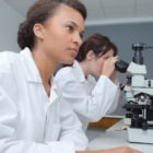 habilitation à diriger des recherches