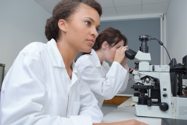 habilitation à diriger des recherches