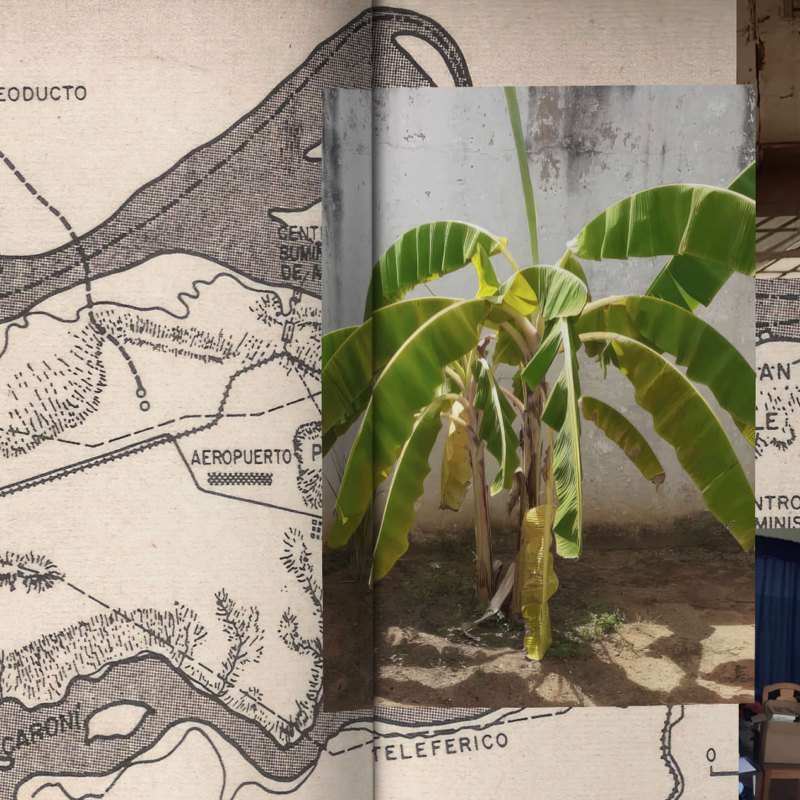 Patria d’Oleñka Carrasco analysé lors du séminaire Frontières à l’Université de Guyane