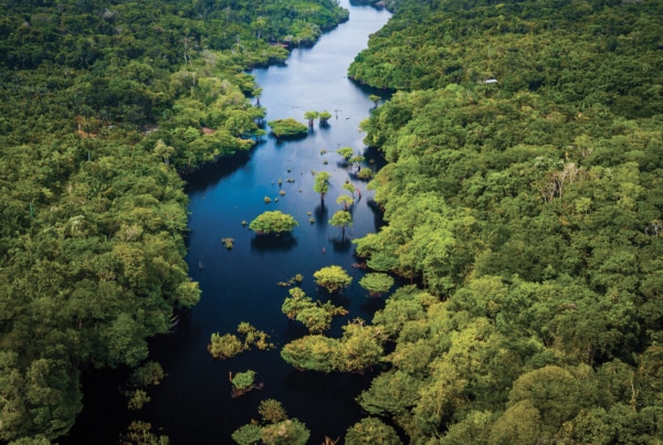Première Journée Annuelle AIBSI à l’Université de Guyane