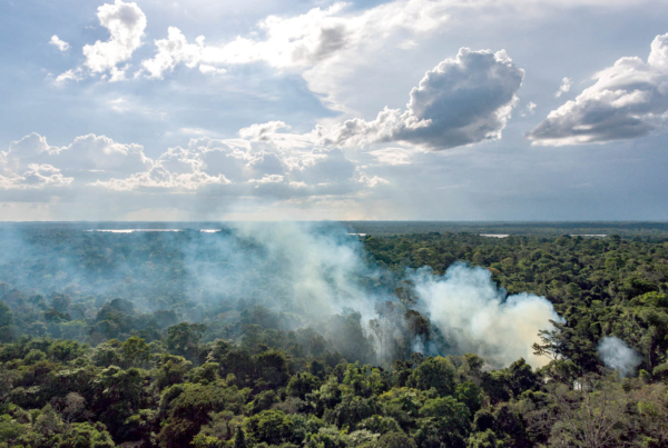 Etude qualité de l'air en Guyane