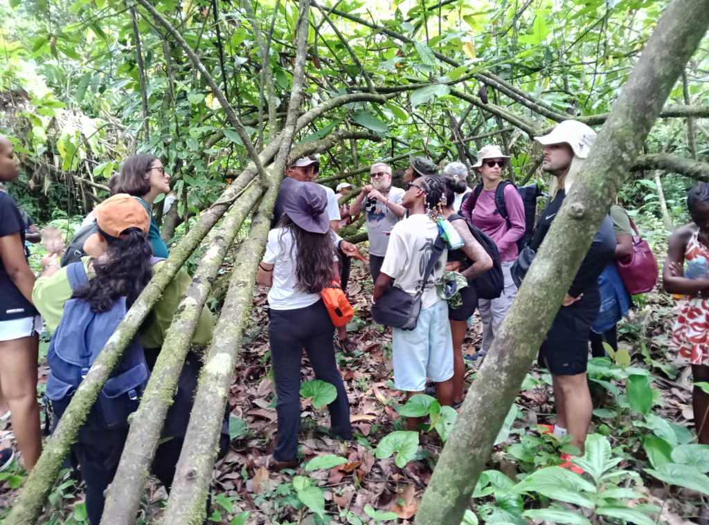 Workshop frontière guyano-brésilienne en immersion scientifique dans la forêt amazonienne