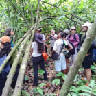 Workshop frontière guyano-brésilienne en immersion scientifique dans la forêt amazonienne
