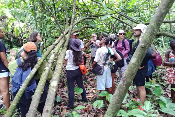 Workshop frontière guyano-brésilienne en immersion scientifique dans la forêt amazonienne