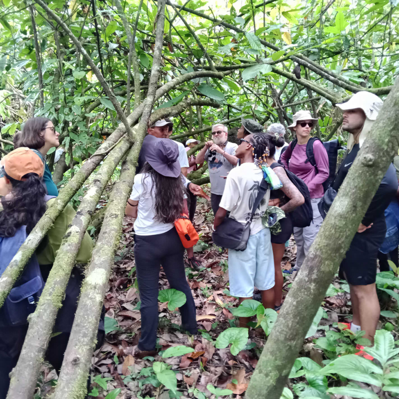 Workshop frontière guyano-brésilienne en immersion scientifique dans la forêt amazonienne