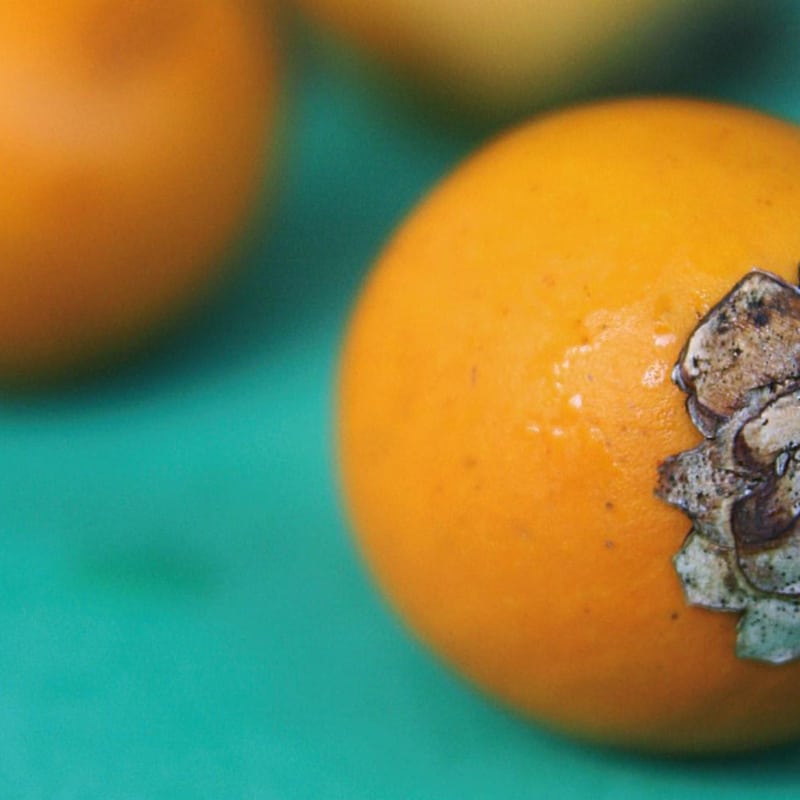 valorisation des palmiers wara